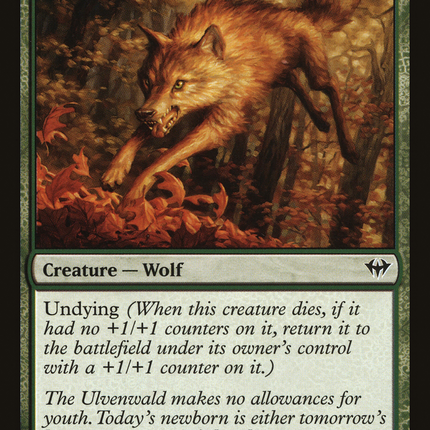 Young Wolf (DKA-134) - Dark Ascension Foil
