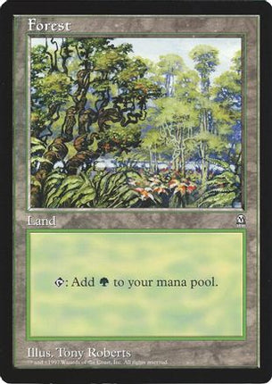 Forest (Arena League) (OVER-) - Oversize Cards Foil