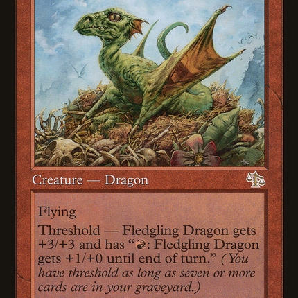Fledgling Dragon (JUD-090) - Judgment