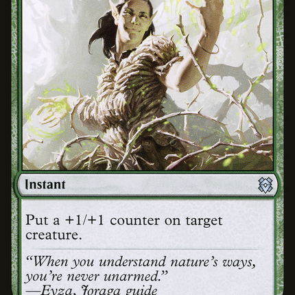 Vastwood Fortification // Vastwood Thicket (ZNR-216) - Zendikar Rising Foil