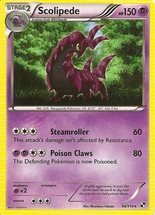 Scolipede 054/114  - Holofoil Blister Exclusives - Holo Rare