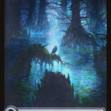 Swamp (JDG-008) - Judge Gift Cards 2023: (Full Art) Foil