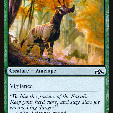 Wary Okapi (GRN-149) - Guilds of Ravnica Foil