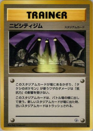 Pewter City Gym  - Leaders Stadium