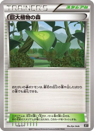 Forest of Giant Plants (154/171) - SM The Best of XY