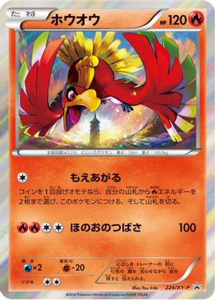 Ho-Oh - 224/XY-P (224/XY-P) - XYP XY Promos Holofoil