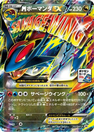 Salamence - 257/XY-P (257/XY-P) - XYP XY Promos Holofoil
