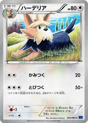 Herdier (050/060) - XYBx Collection X 1st Edition