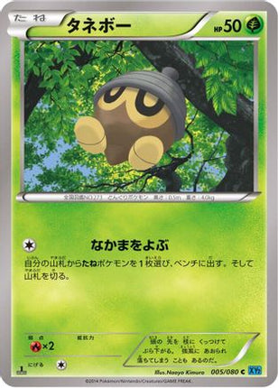 Seedot (005/080) - XY2 Wild Blaze Unlimited