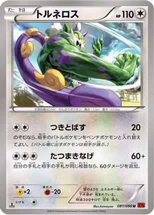 Tornadus (081/096) - XY3 Rising Fist Unlimited