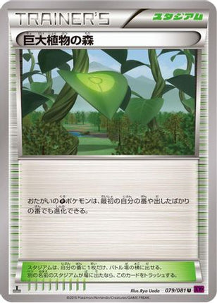Forest of Giant Plants (079/081) - XY7 Bandit Ring Unlimited
