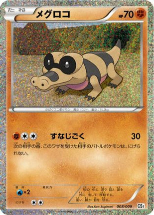 Sandile (008/009) - CS1 Journey Partners Collection Sheet Holofoil