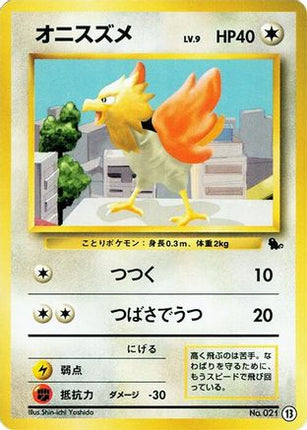Spearow (13) - Intro Pack Squirtle