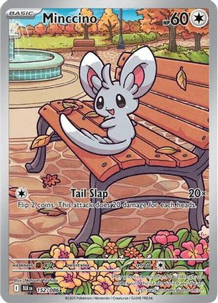 Minccino 157/086  - Holofoil SV Black Bolt - Illustration Rare