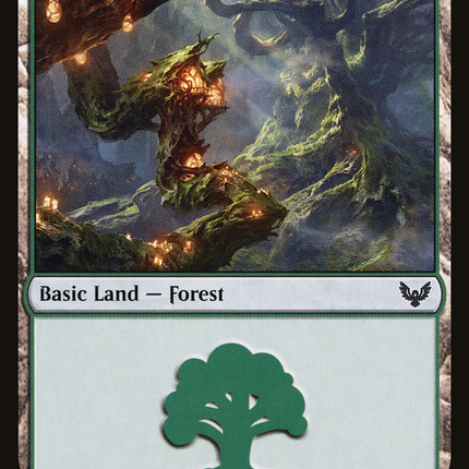 Forest (STX-375) - Strixhaven: School of Mages Foil