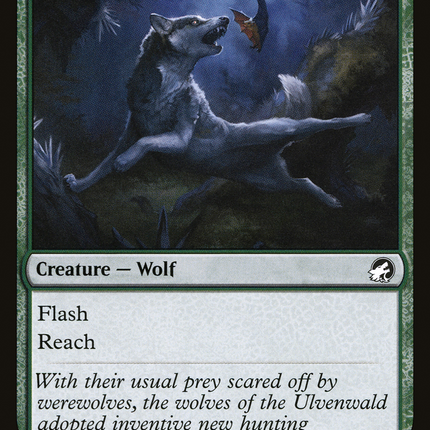 Bounding Wolf (MID-170) - Innistrad: Midnight Hunt