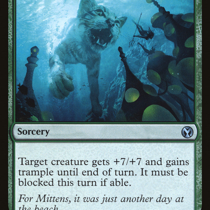 Enlarge (IMA-162) - Iconic Masters