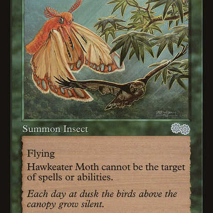 Hawkeater Moth (USG-259) - Urza's Saga