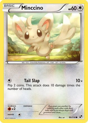 Minccino 088/114  - Reverse Holofoil Black and White - Common