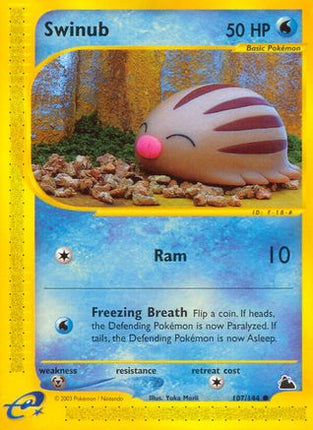 Swinub (107) 107  - Reverse Holofoil Skyridge - Common