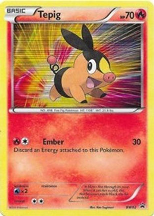 Tepig (BW02)/101  - Holofoil Black and White Promos - Holo Rare