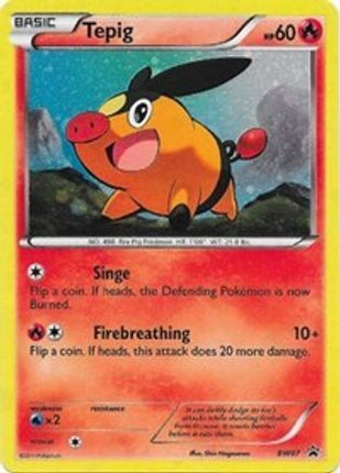 Tepig BW07/101  - Holofoil Black and White Promos - Promo