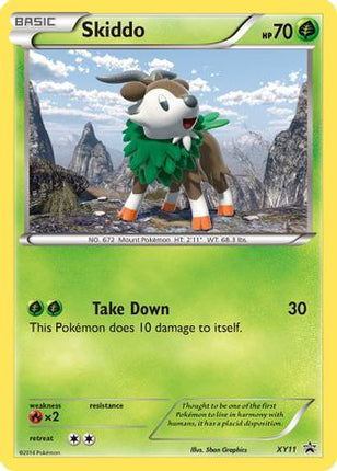 Skiddo - XY11/211  - Holofoil XY Promos - Promo