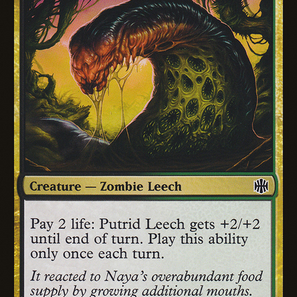Putrid Leech (ARB-095) - Alara Reborn