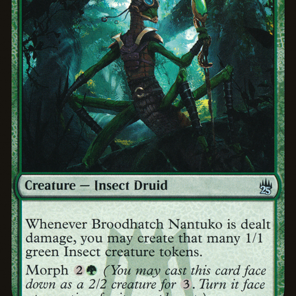 Broodhatch Nantuko (A25-162) - Masters 25