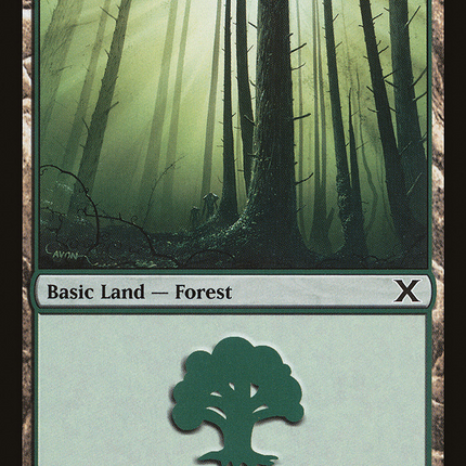 Forest (10E-381) - Tenth Edition Foil