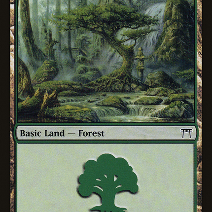 Forest (CHK-304) - Champions of Kamigawa Foil