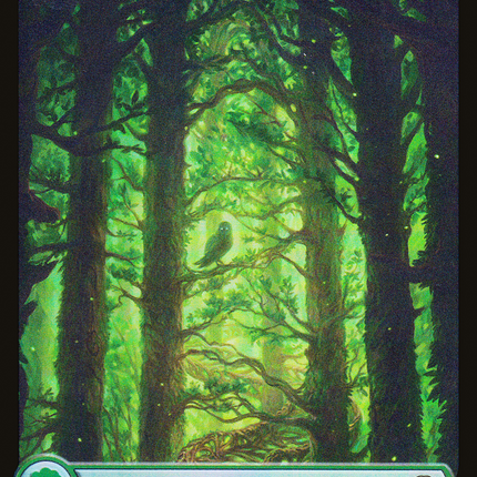 Forest (JDG-010) - Judge Gift Cards 2023: (Full Art) Foil