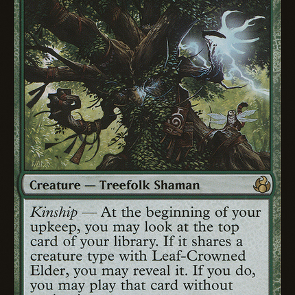 Leaf-Crowned Elder (MOR-128) - Morningtide