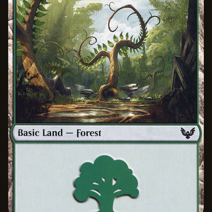 Forest (STX-374) - Strixhaven: School of Mages Foil