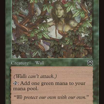 Vine Trellis (MMQ-285) - Mercadian Masques Foil
