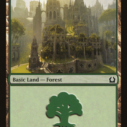 Forest (RTR-273) - Return to Ravnica Foil