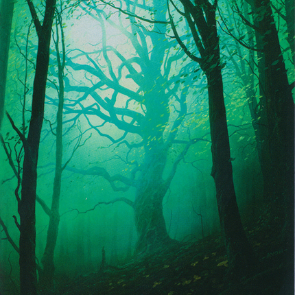 Forest (UST-216) - Unstable (Borderless)