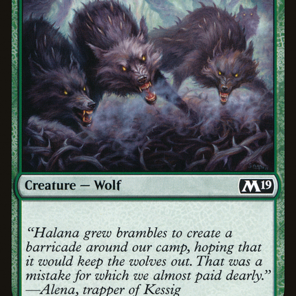 Thornhide Wolves (M19-204) - Core Set 2019 Foil